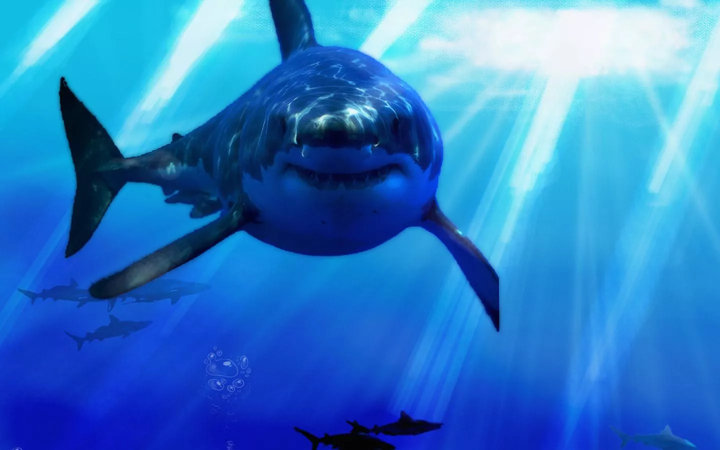 Great White Shark wallpaper