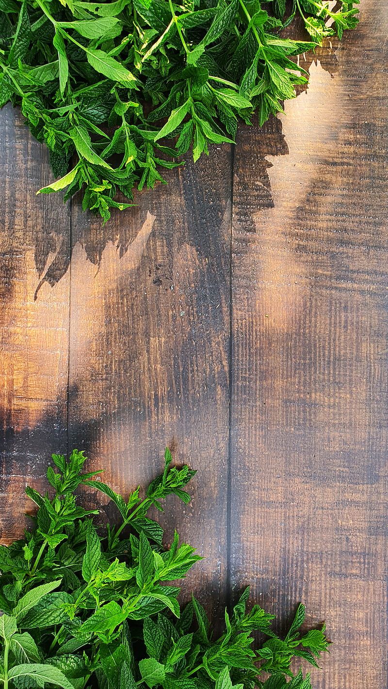 HD wood mint wallpaper