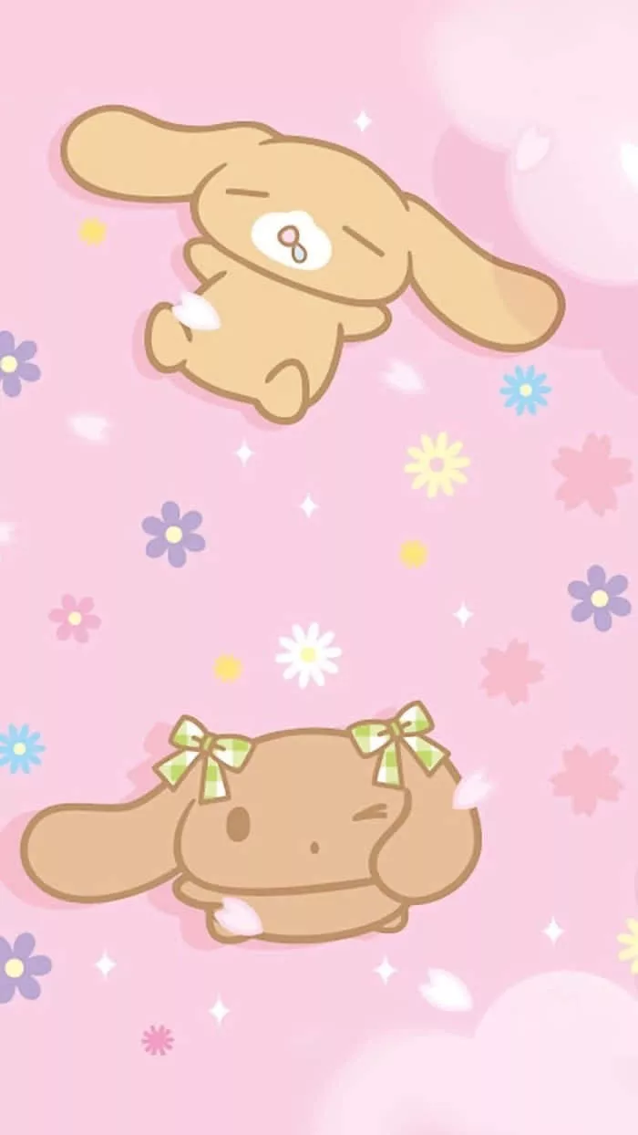 Mocha Sanrio Wallpaper