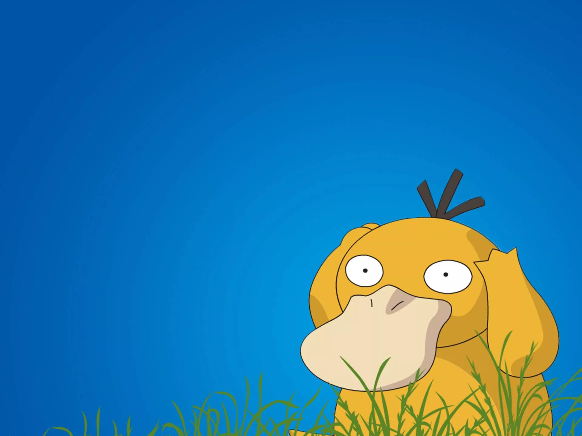 Psyduck Wallpaper