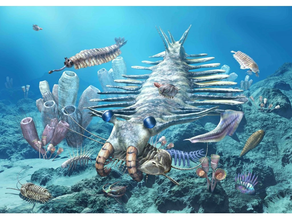 CAMBRIAN SEA