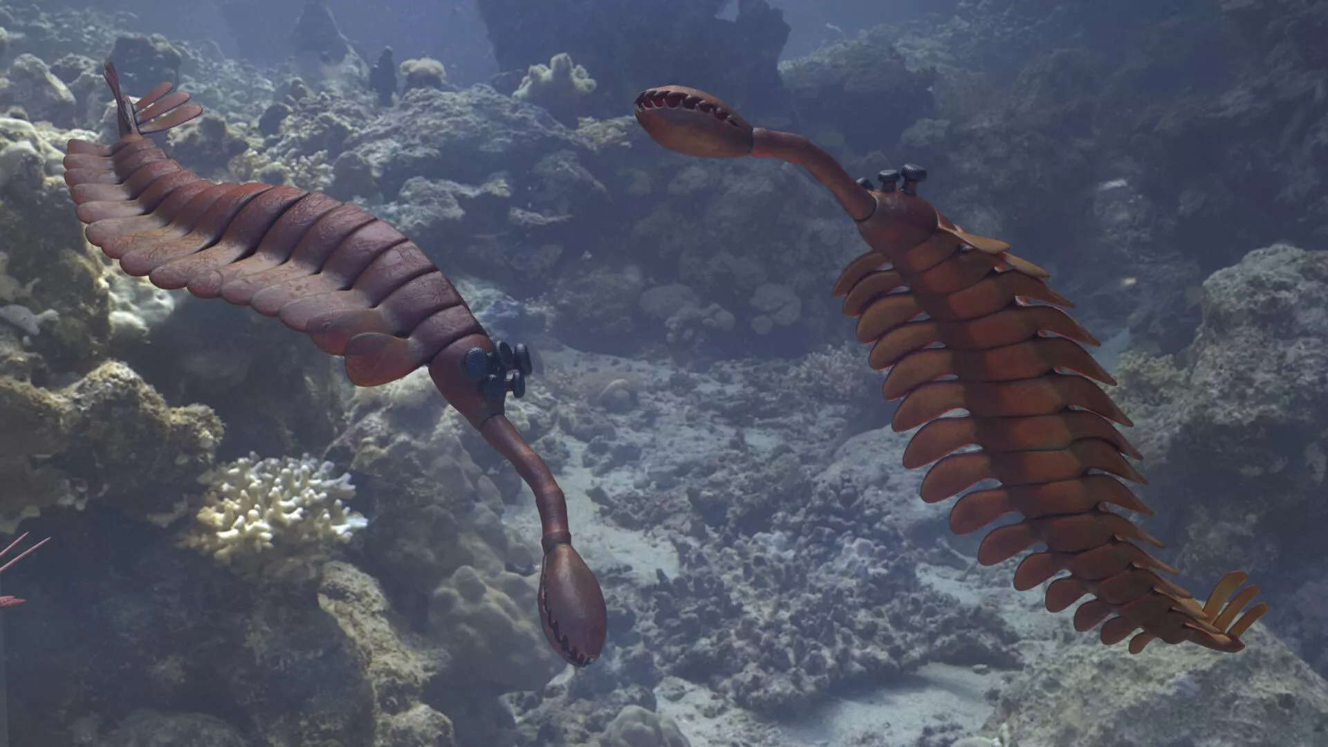 Opabinia was a small arthropod swimming