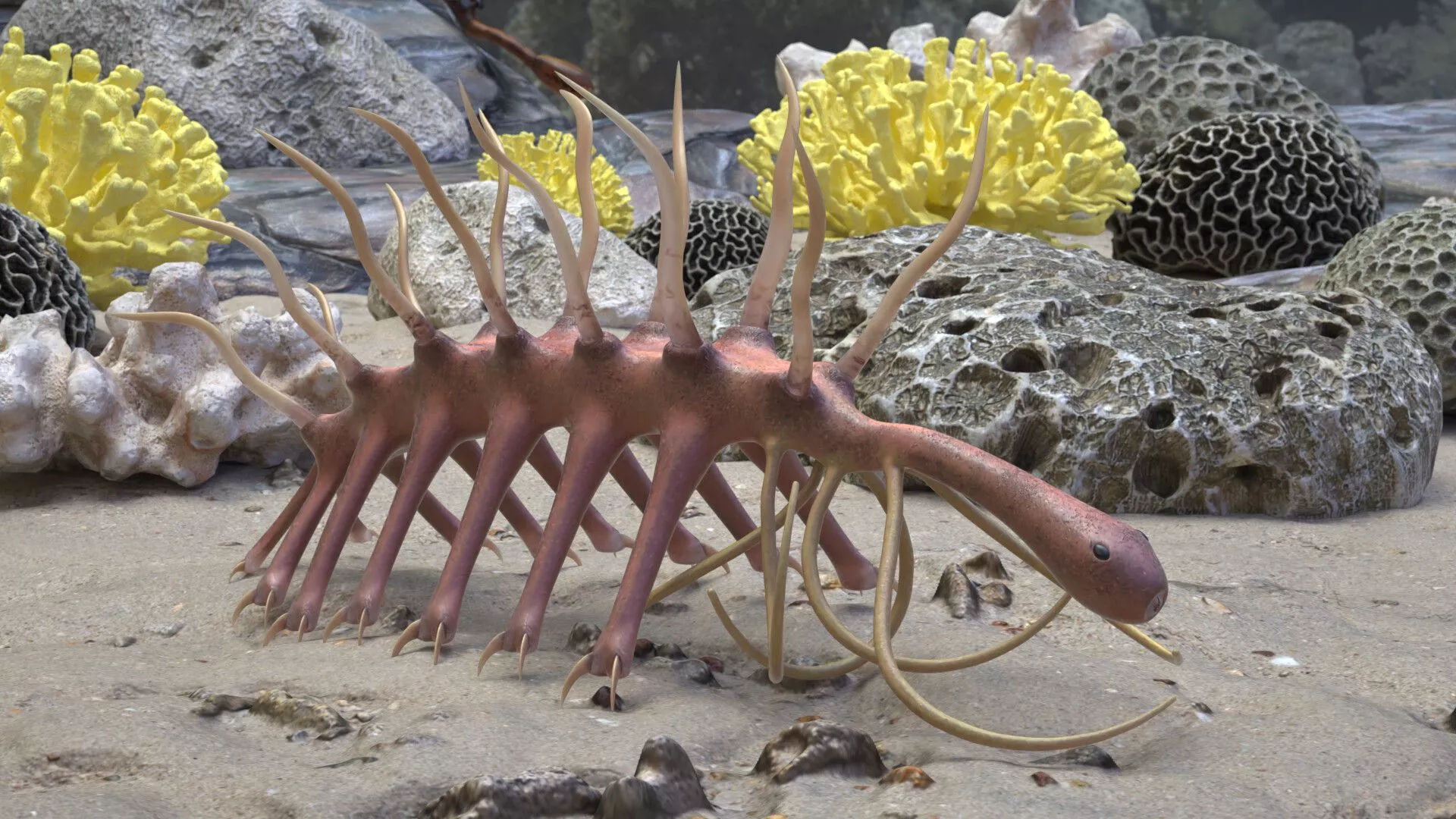 Hallucigenia trundling around on