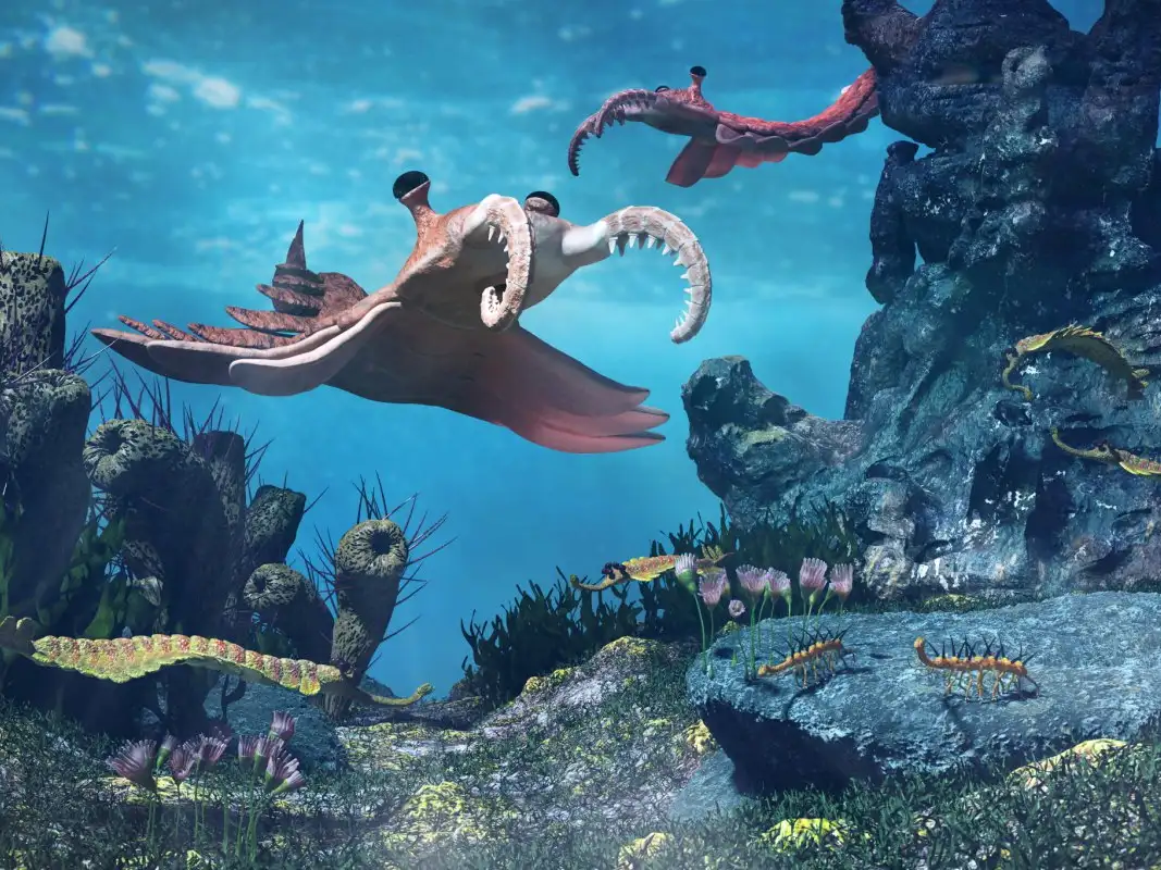 Cambrian explosion: First burst