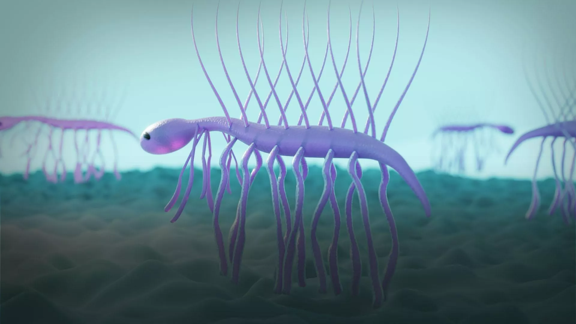 Survive The Cambrian Explosion