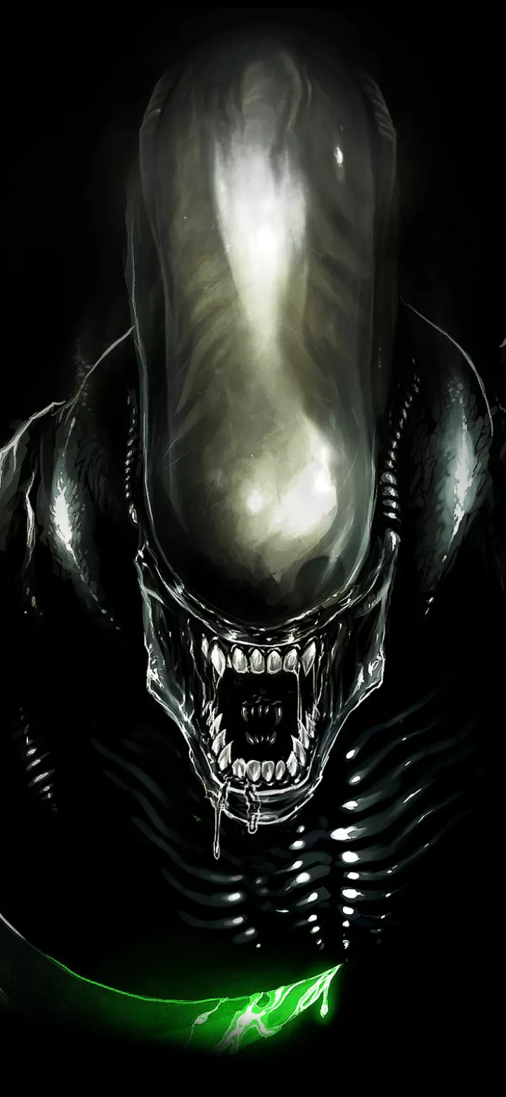 Xenomorph Movie Alien Phone Wallpaper