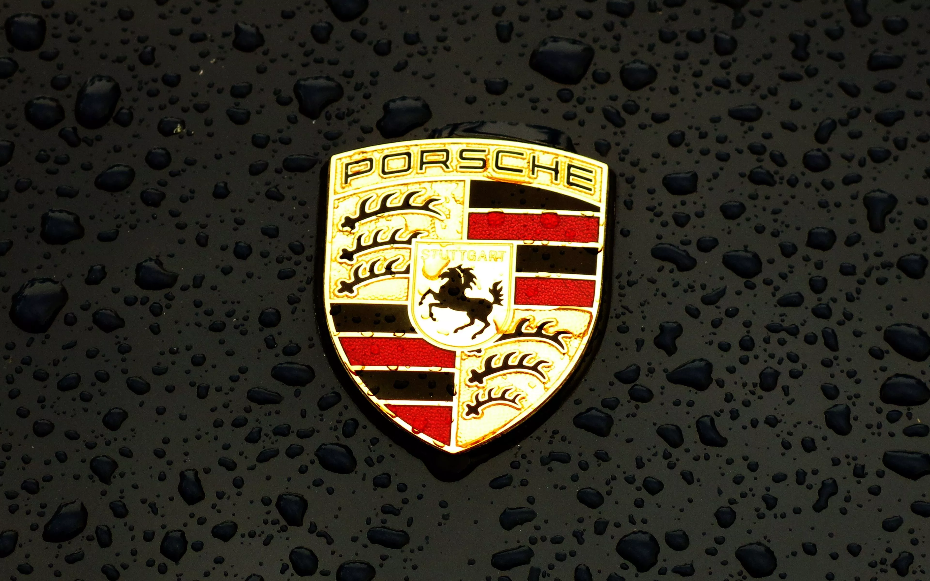 Porsche Logo Emblem Car