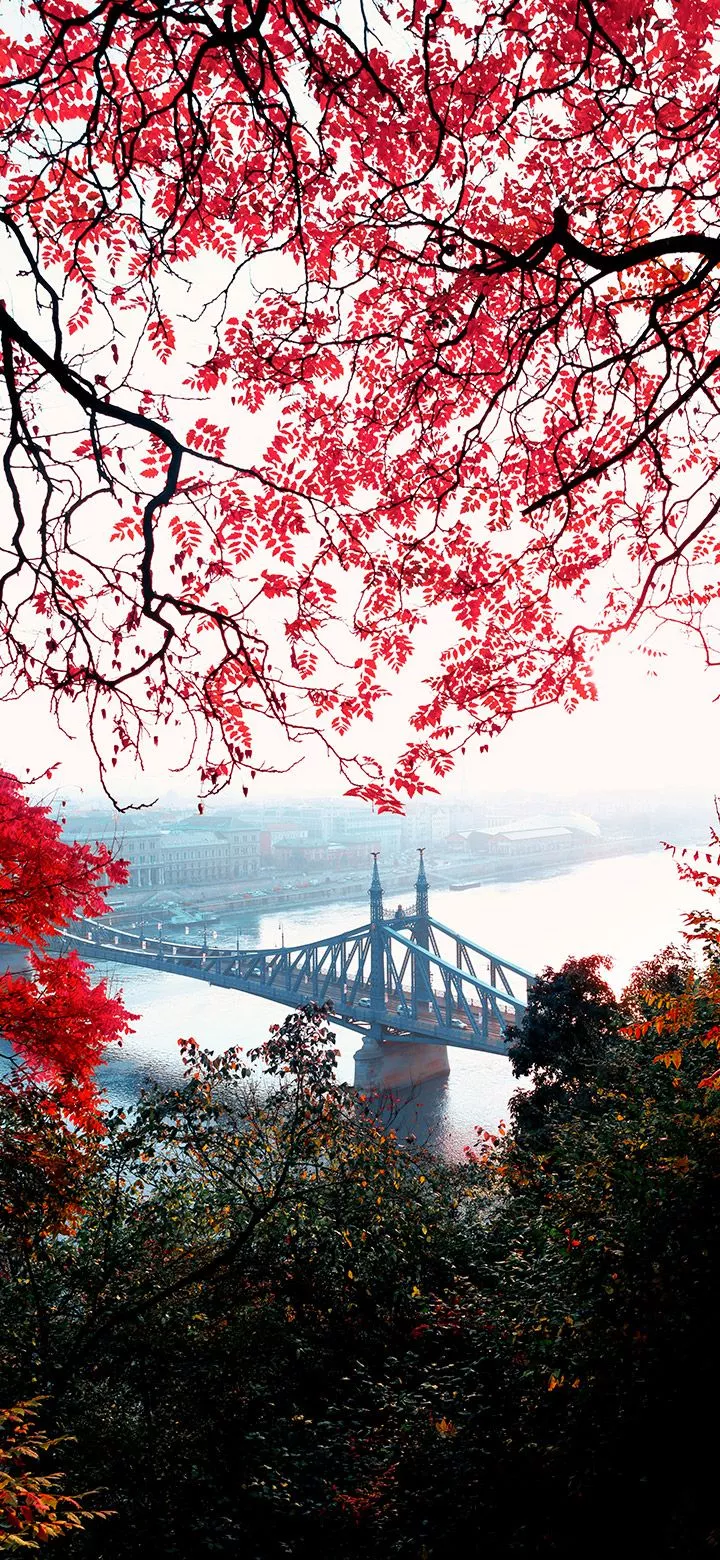 aesthetic concrete bridge 4K