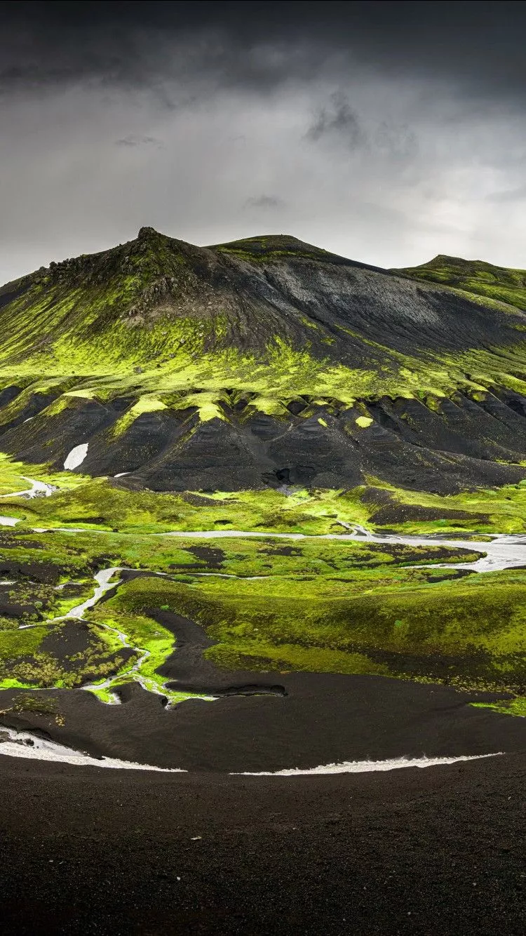 Landscape View Of Green And Black