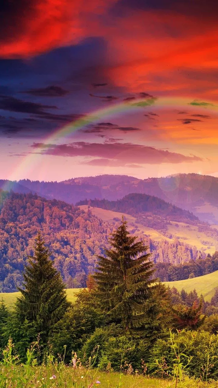 Nature wallpaper, wallpaper, HD wallpaper, high resolution wallpaper