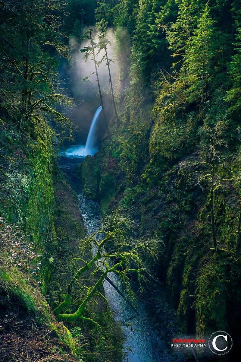 Nature, landscape, water, trees, valley, waterfall, portrait display, forest, HD phone wallpaper