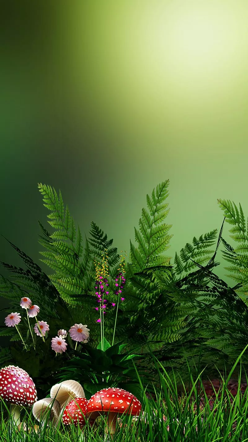 Green nature, green, nature, HD phone wallpaper