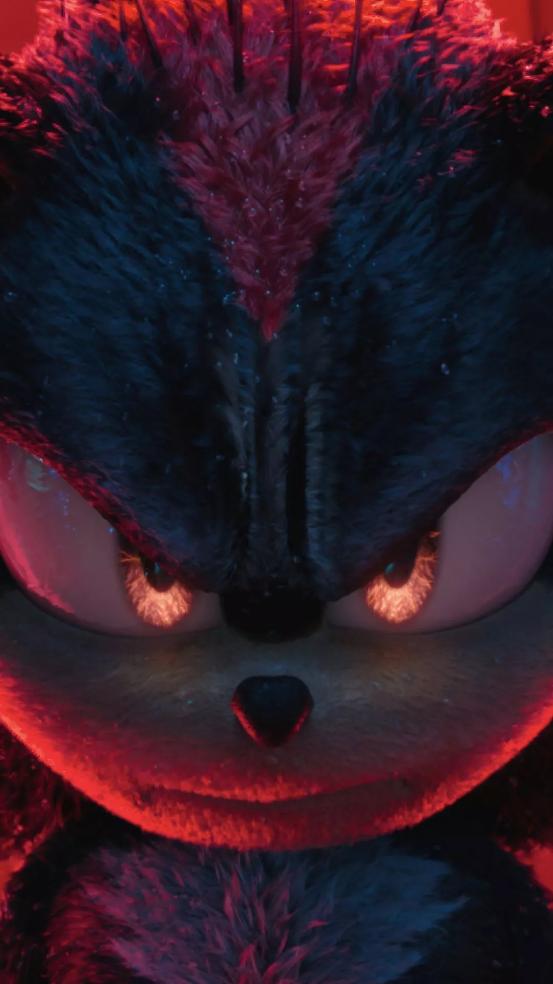 Hedgehog Ultra HD Wallpaper