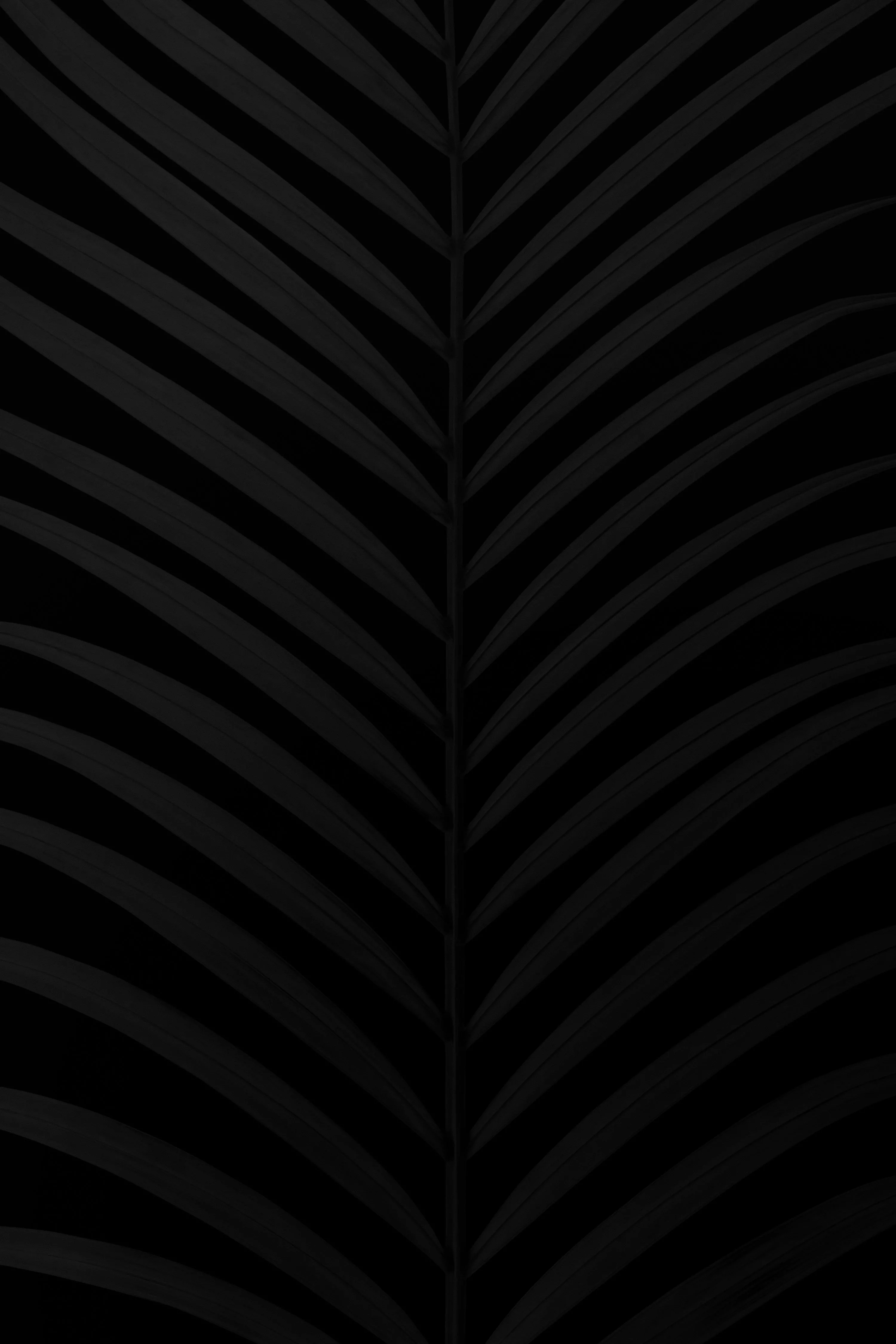 Black Wallpaper: Free HD Download