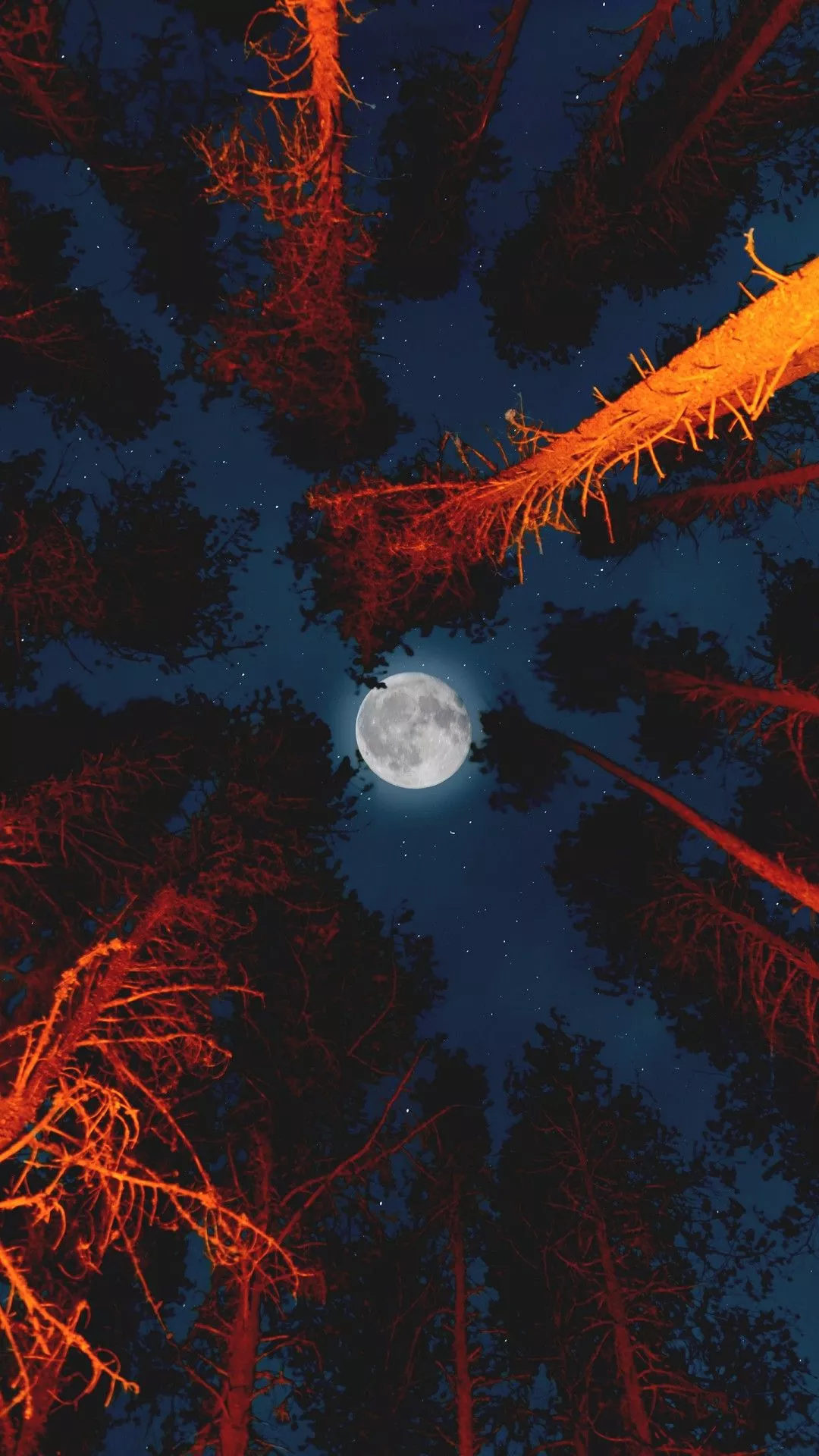 Moon with Campfire in Forest Wallpaper