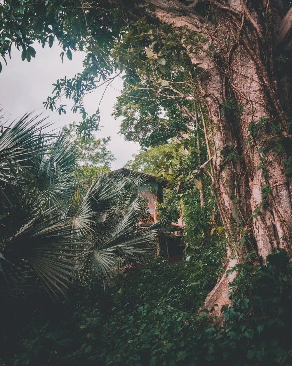 Selvista Guesthouses cabins & houses