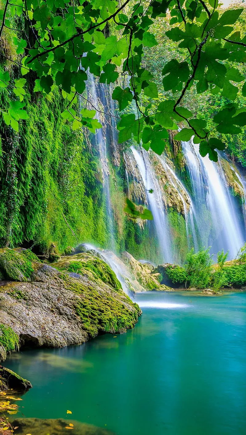 Waterfall, forest, nature, water, HD phone wallpaper