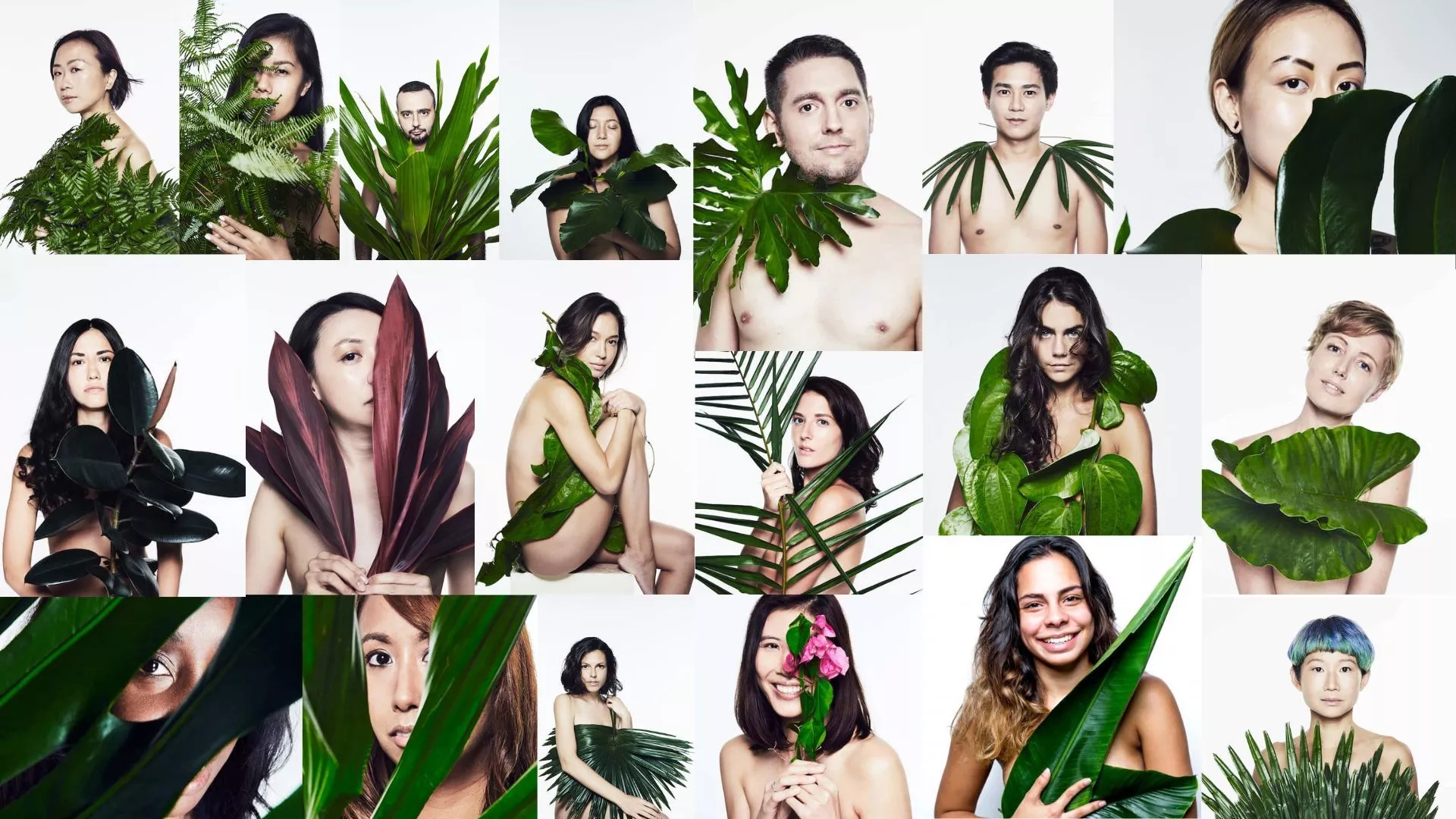 Collage Bookworm Desktop Wallpaper