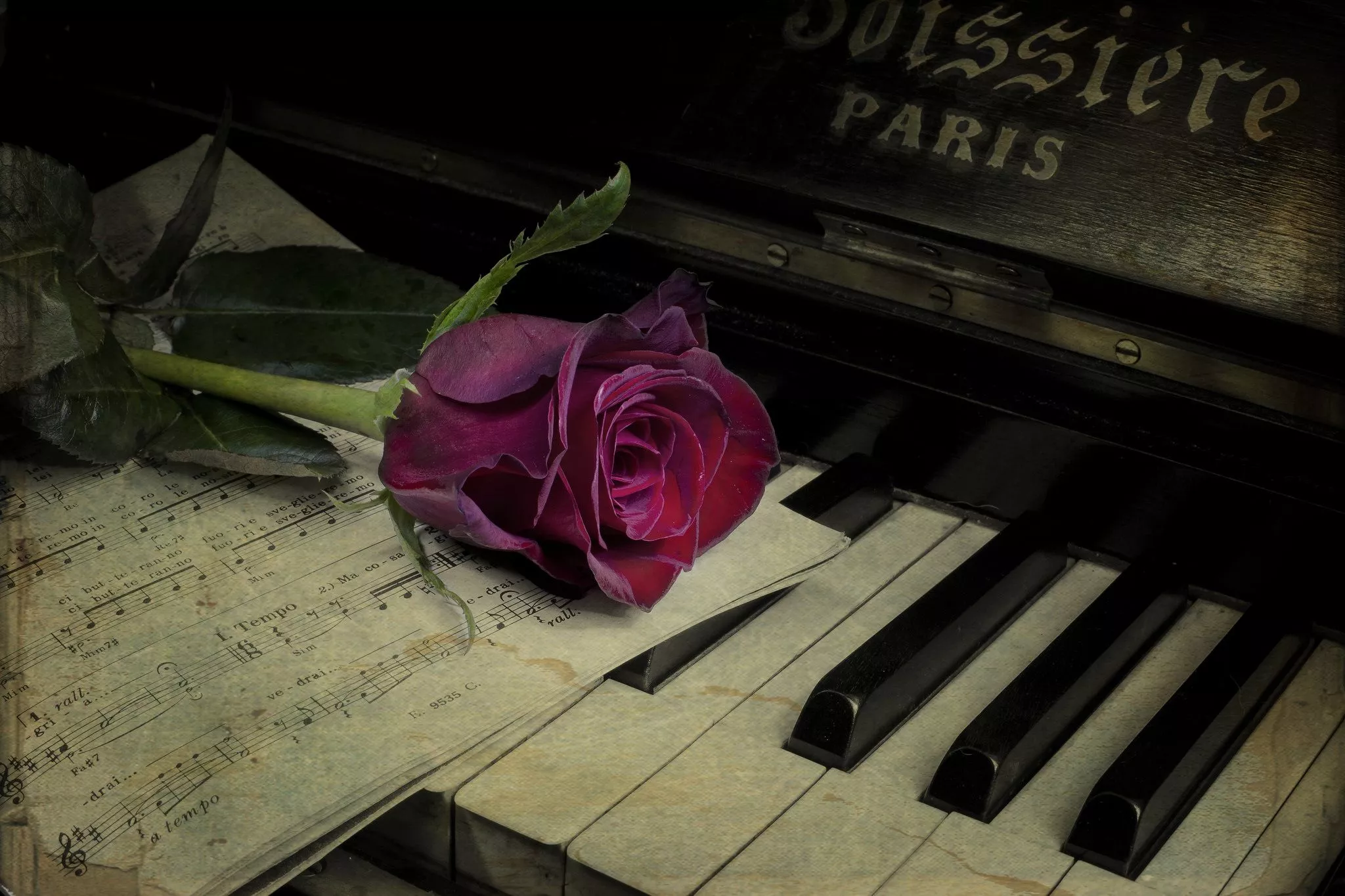 Wallpaper flower, notes, rose, piano