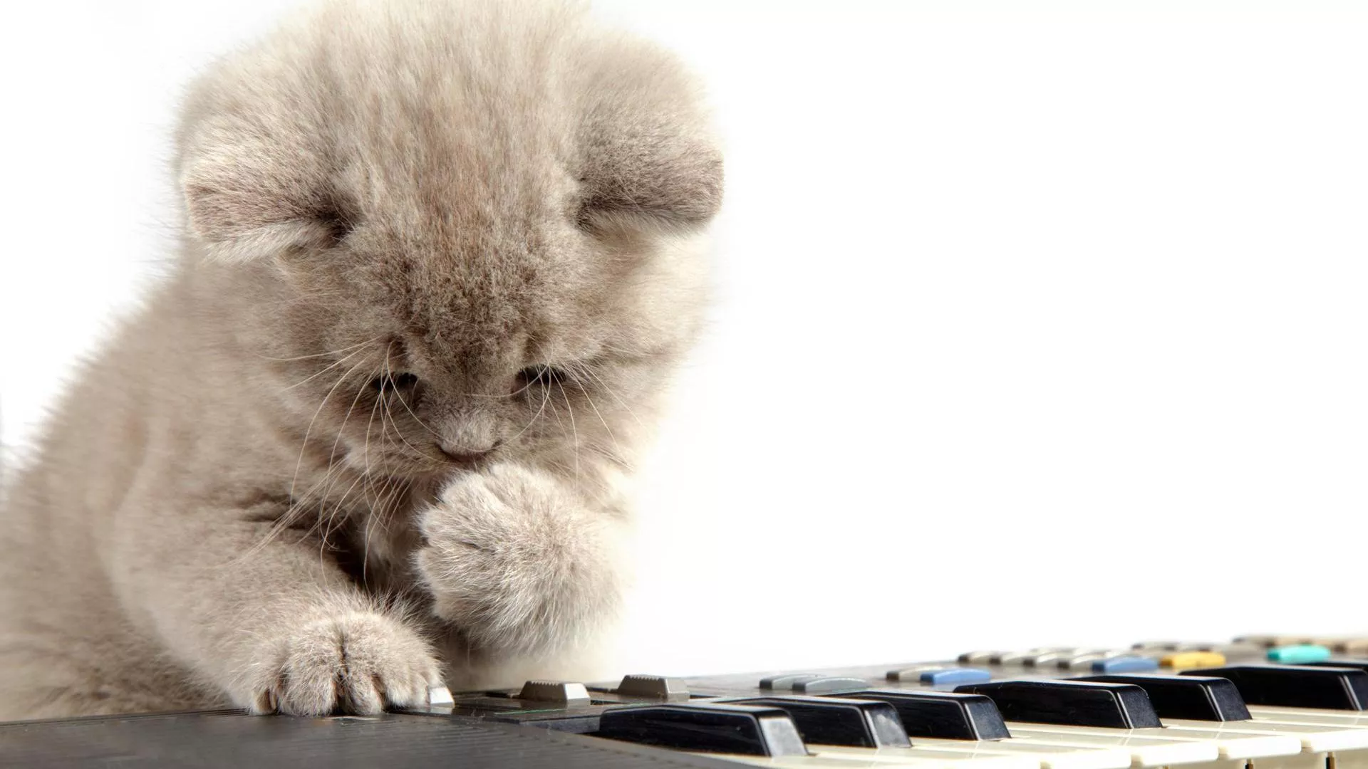 Piano Desktop Wallpaper