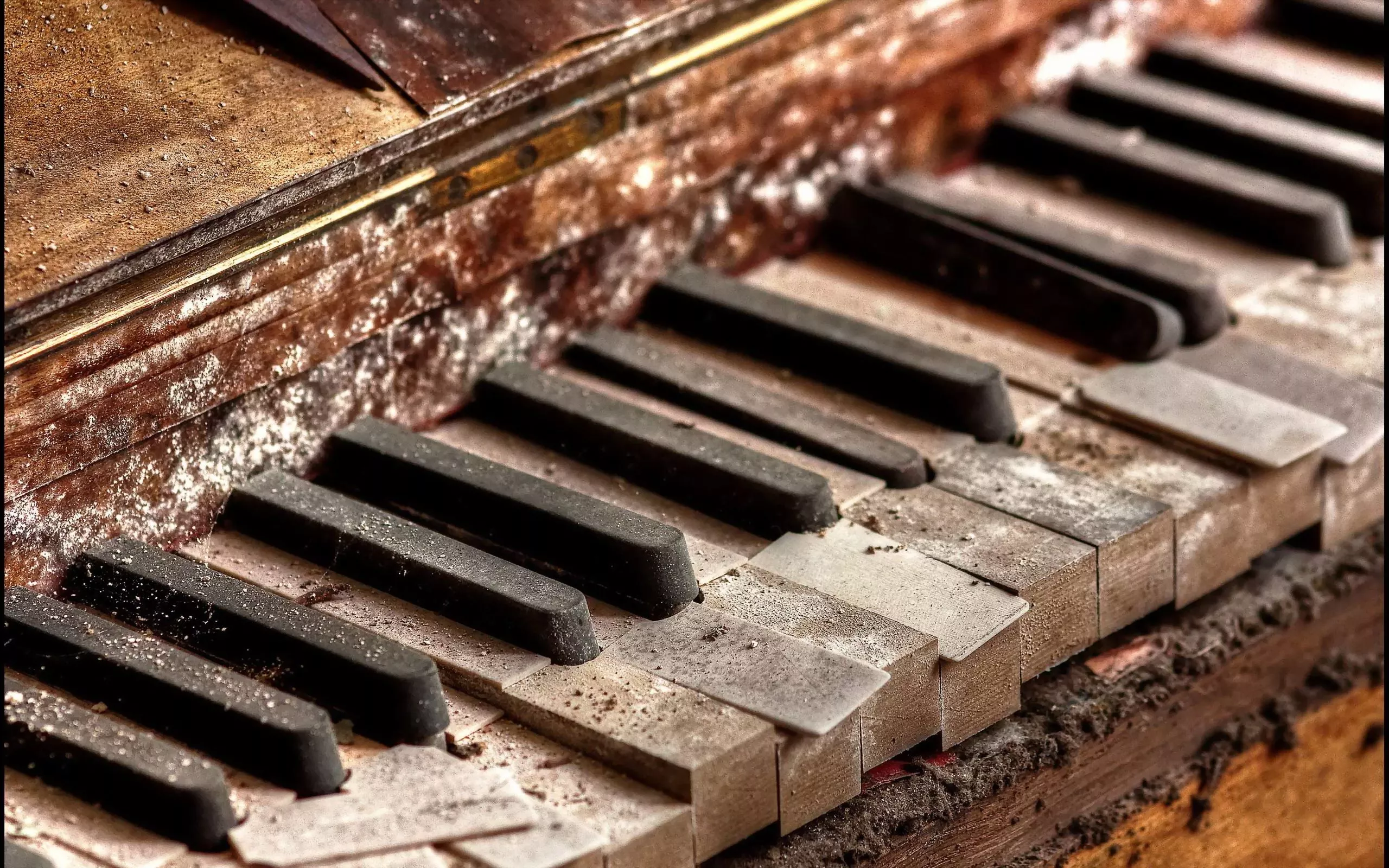 Old rotten piano Desktop wallpaper