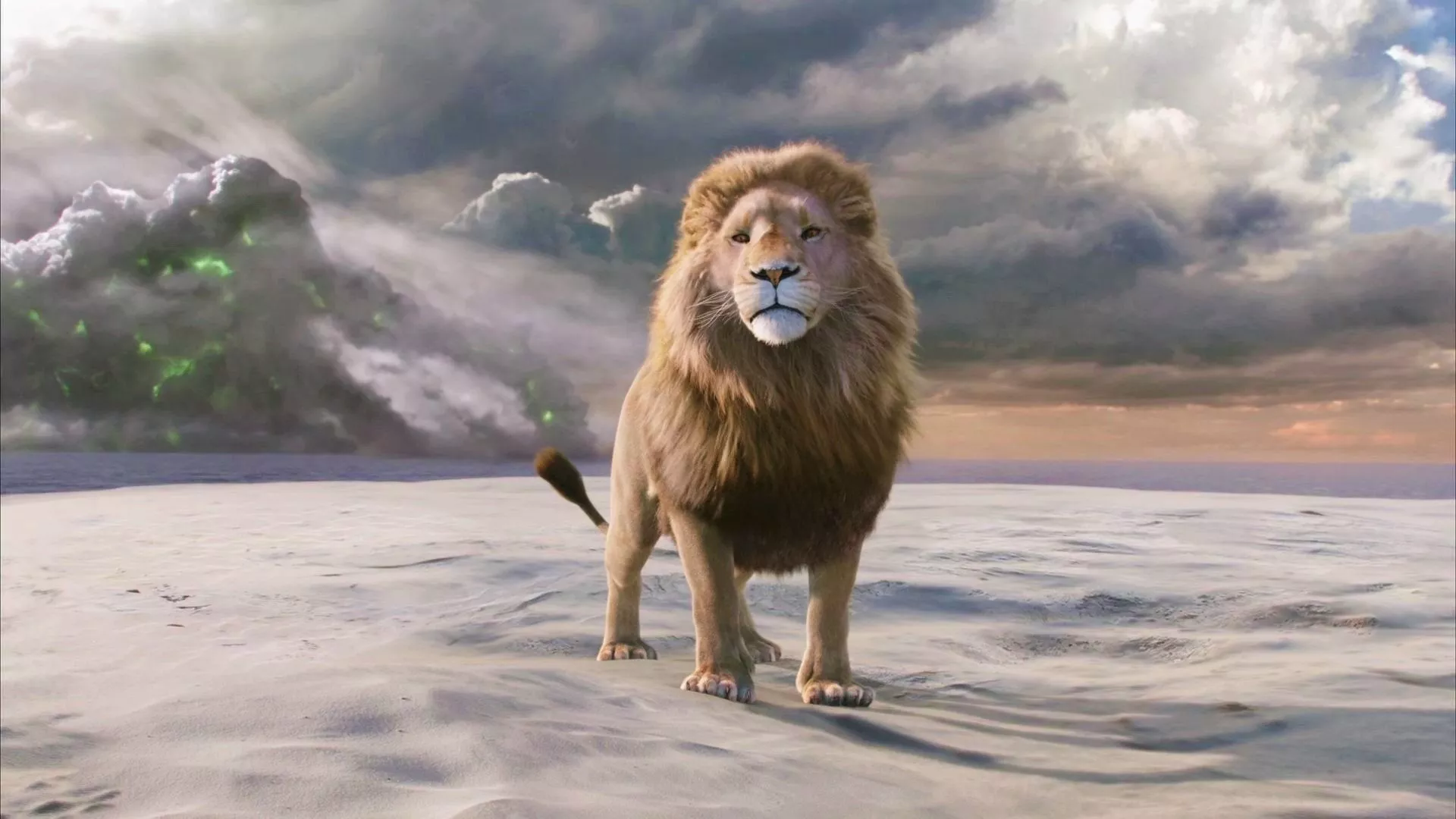Narnia's Courage: HD Lion Wallpaper