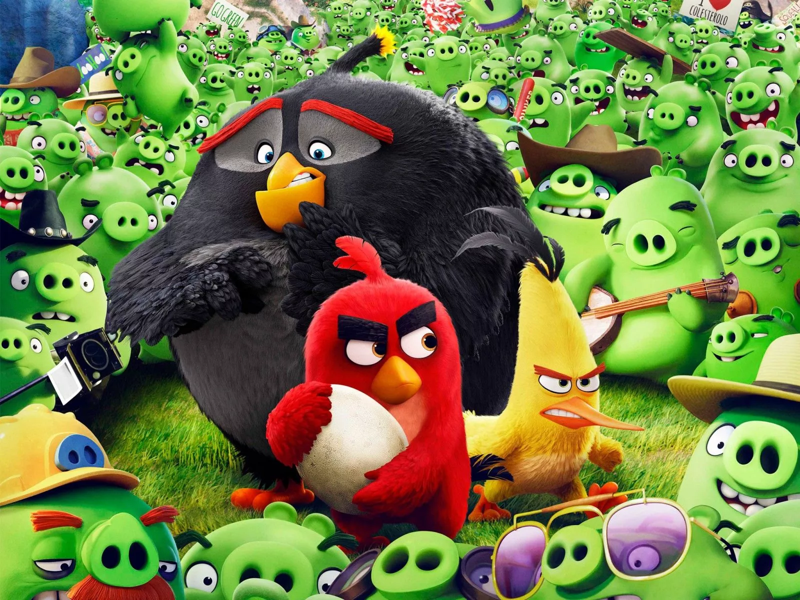 Angry Birds Animation Movie Wallpaper