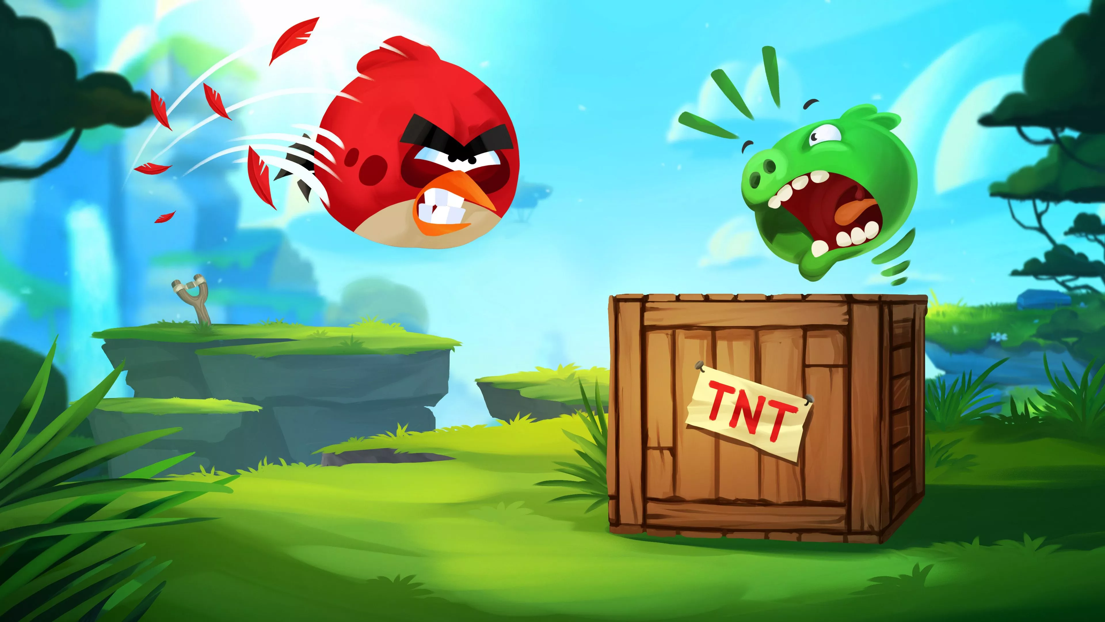 Angry Birds Wallpaper