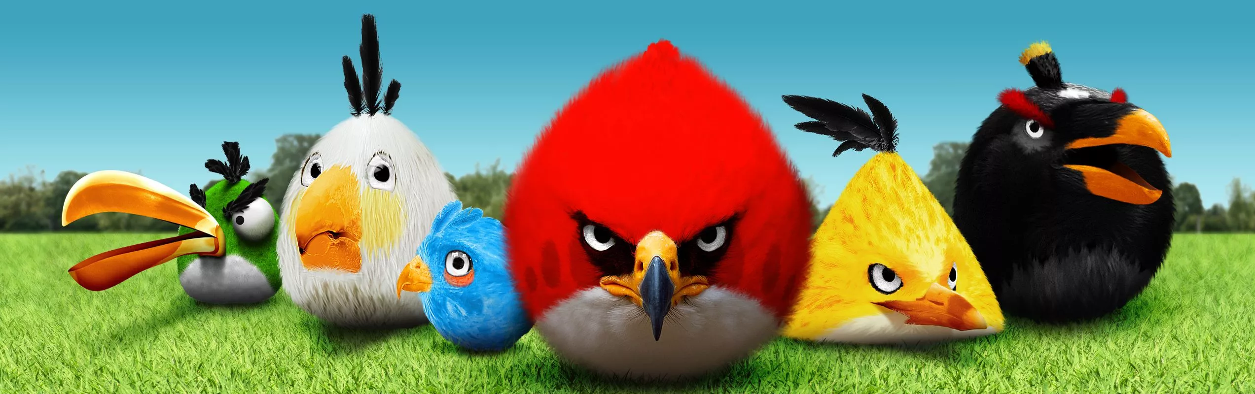 HD desktop wallpaper: Angry Birds
