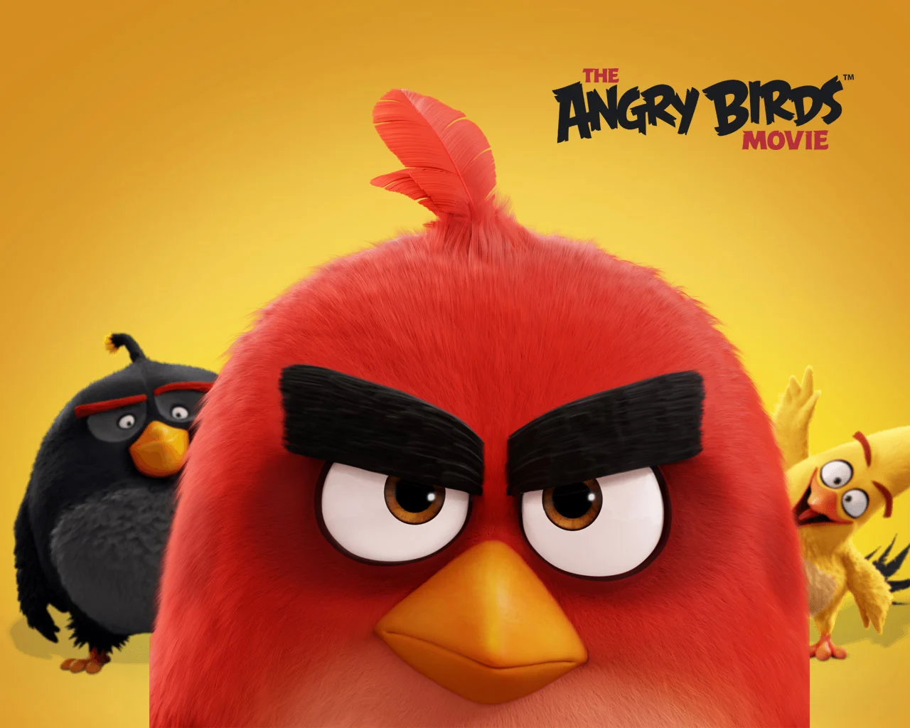 The Angry Birds Movie HD Desktop