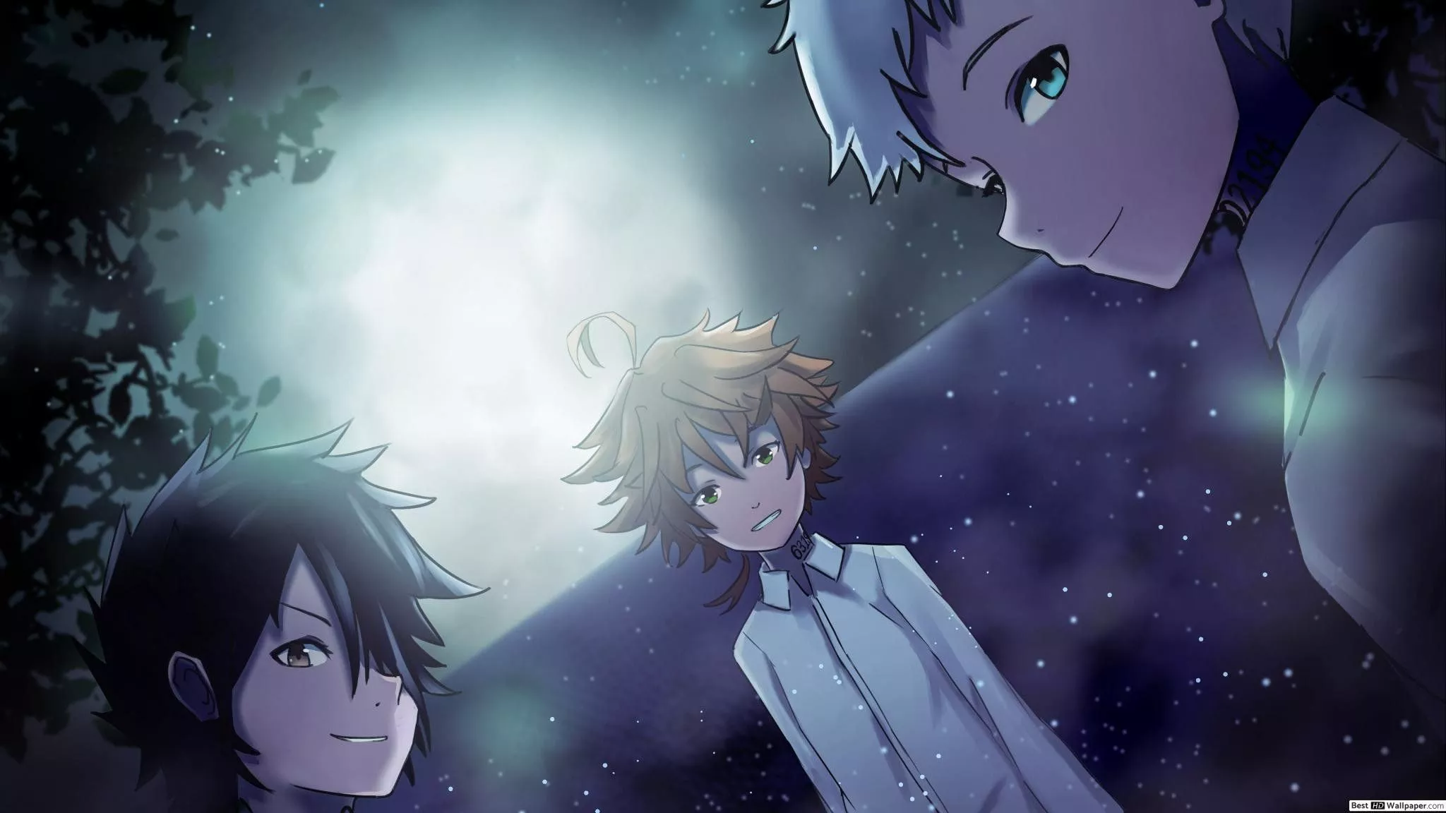The Promised Neverland Background HD