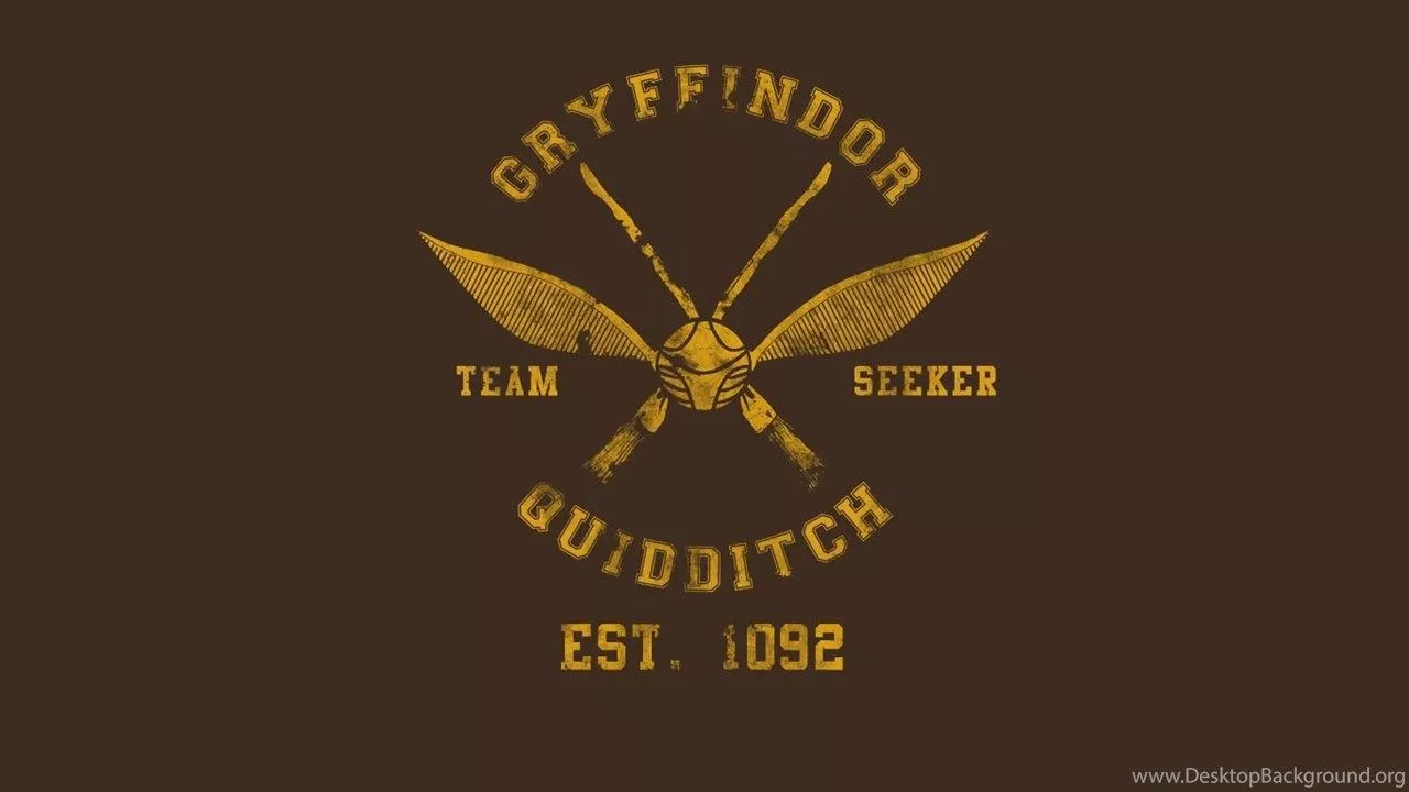 Harry Potter Quidditch Gryffindor