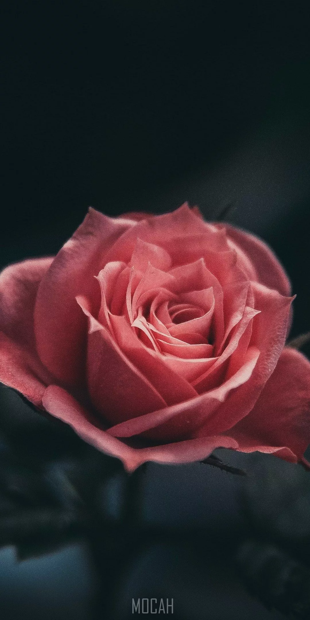 sweet lovin, Tecno Mobile Phantom 8