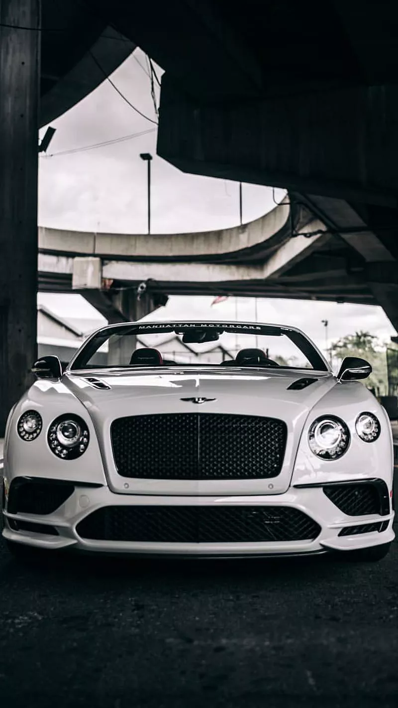 bentley, continental, white