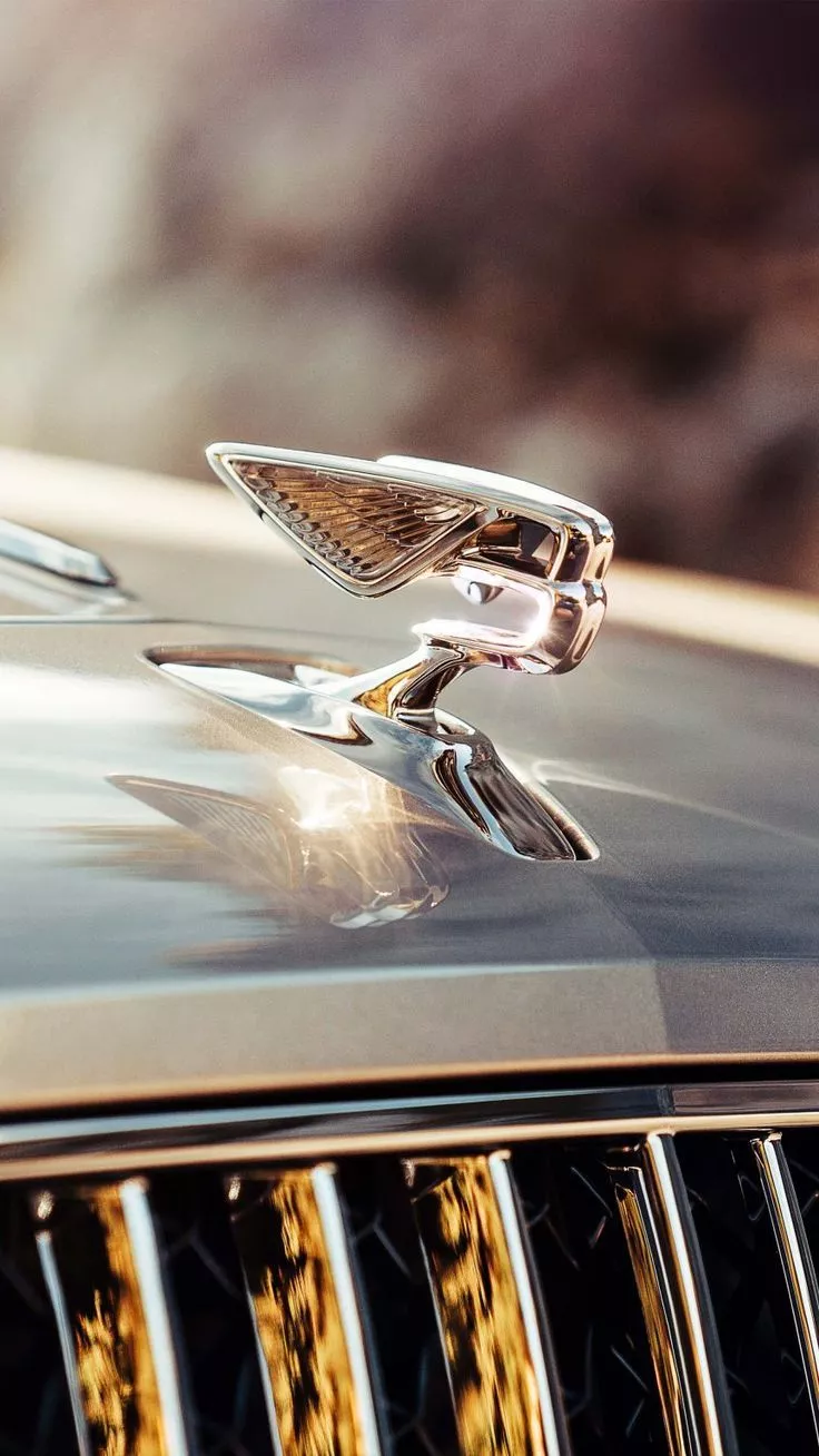 Bentley Flying Spur 2020 4K Ultra HD