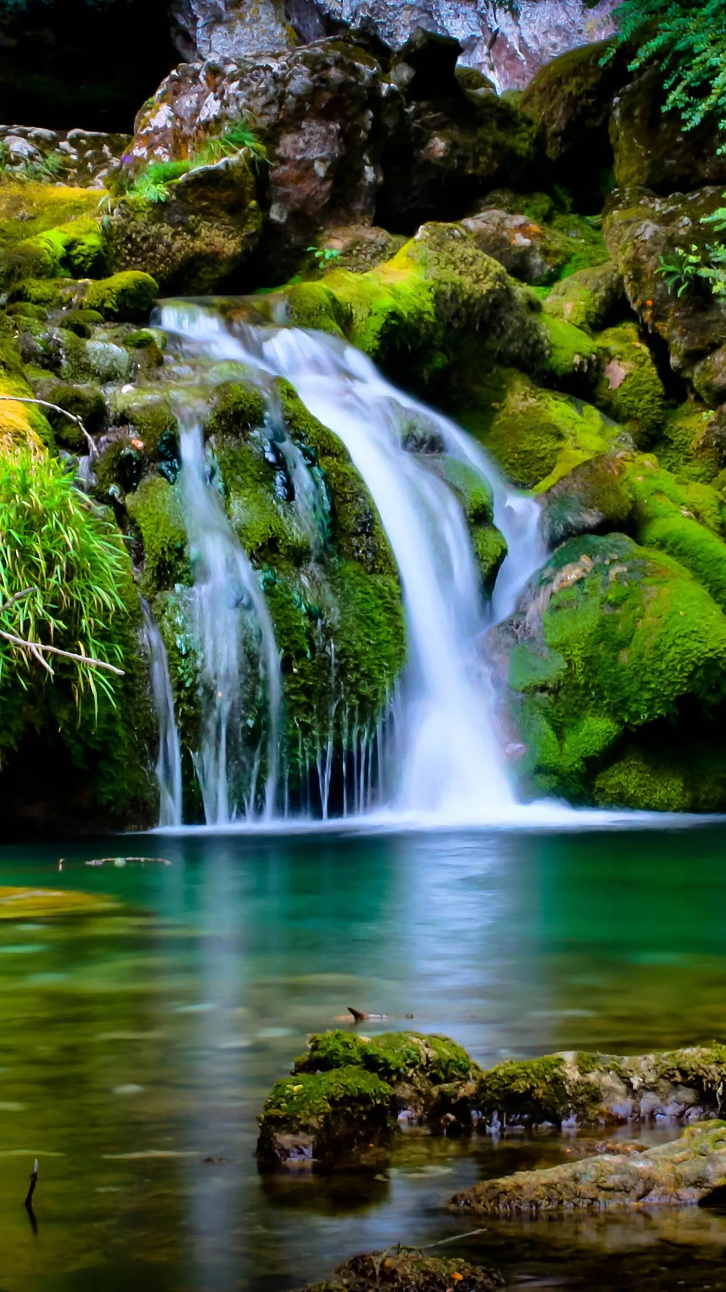 Green Covered Rocks With Green Trees