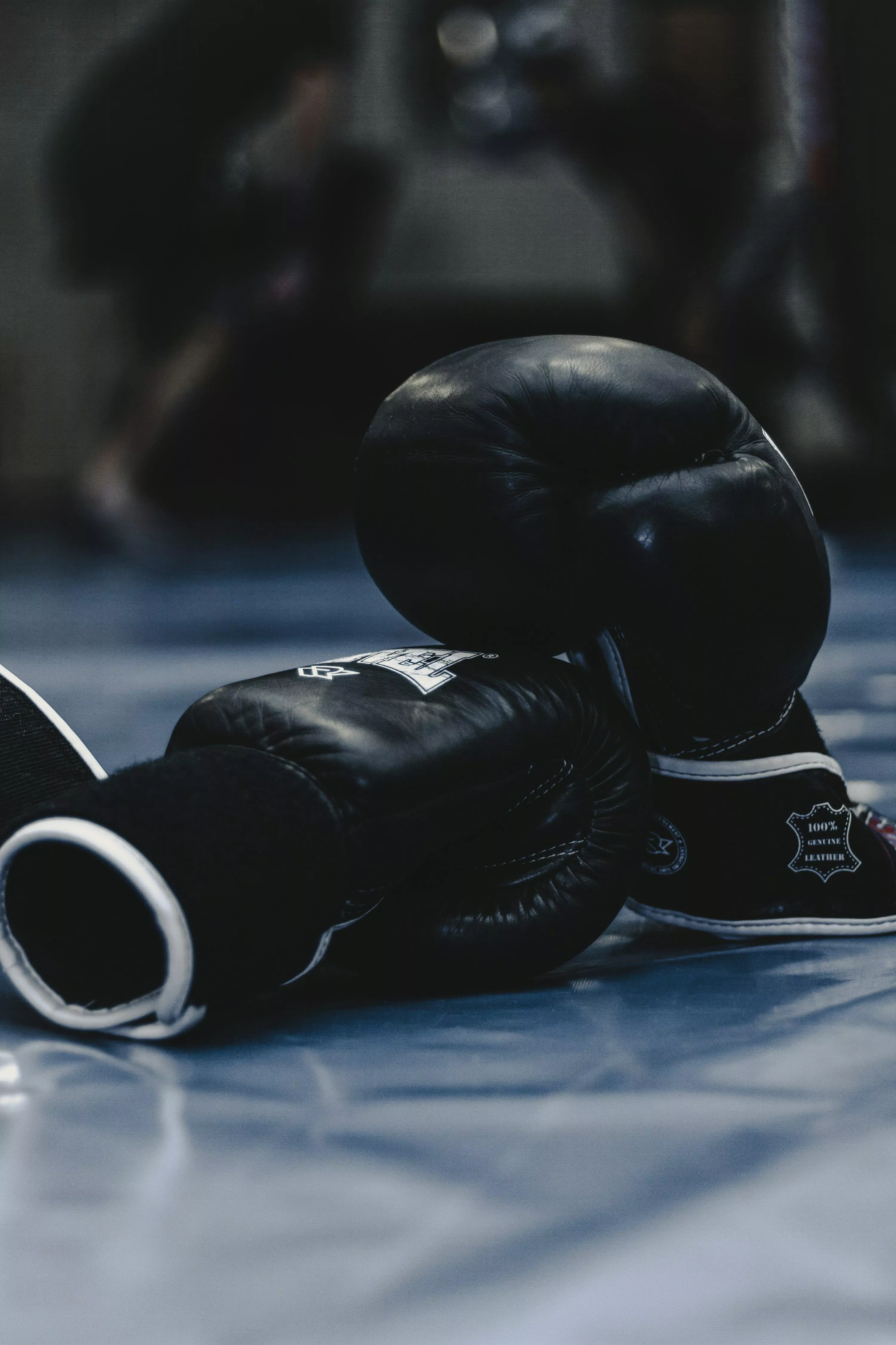 Boxing Picture [HD]. Download