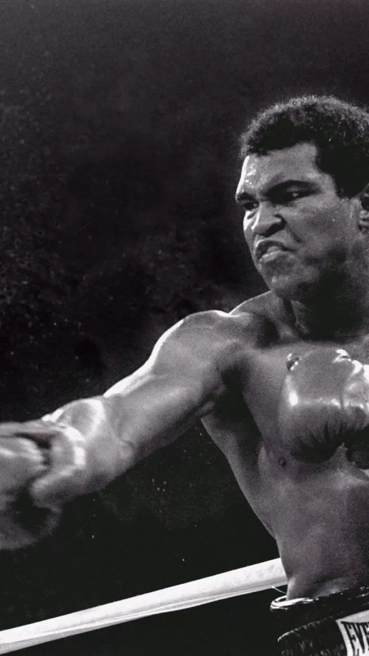 Download Boxing Sports Phone Wallpaper