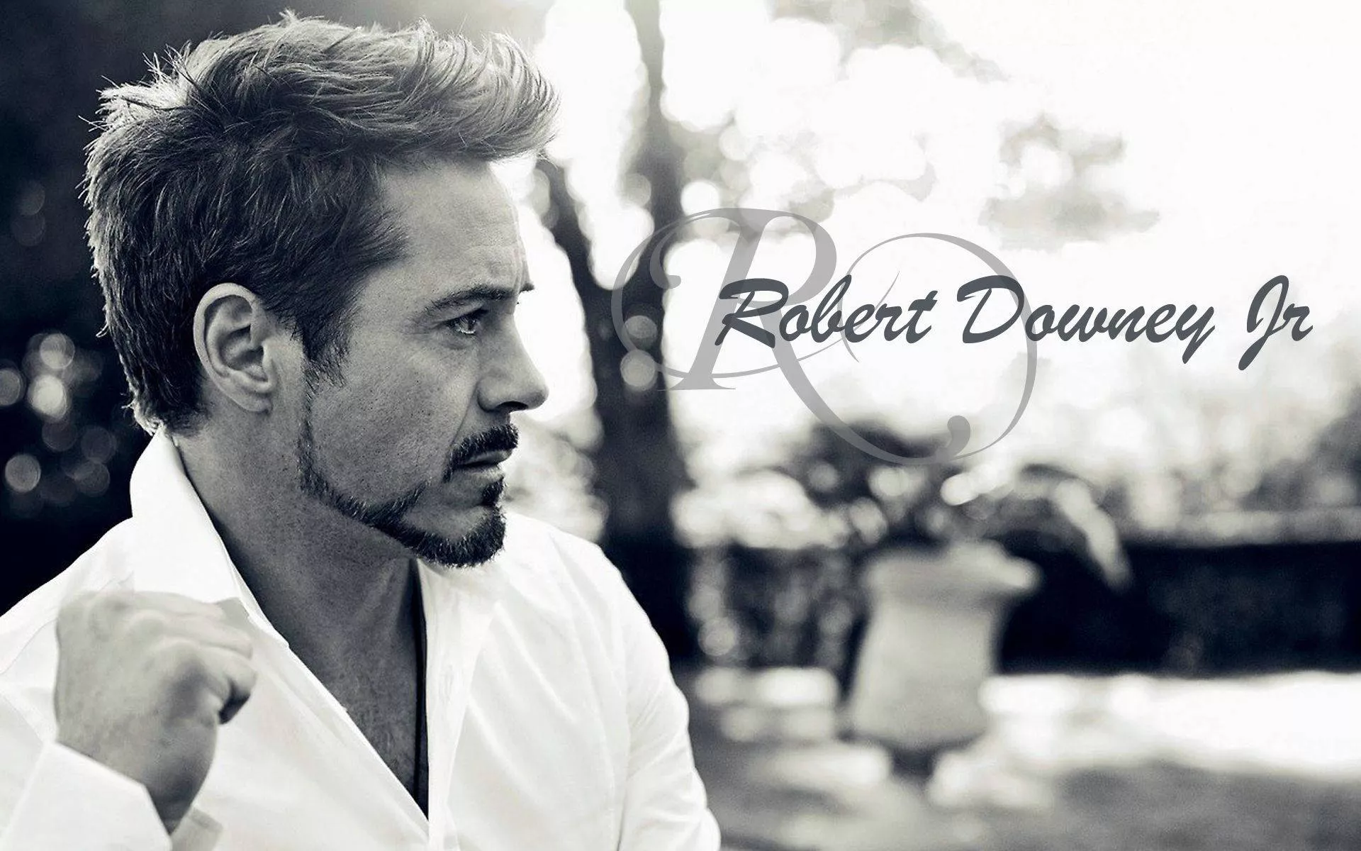 Download Robert Downey Jr Wallpaper