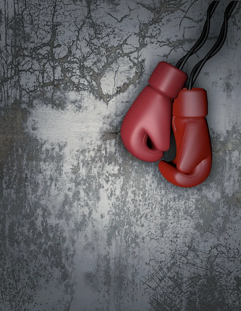 Boxing Gloves Image. Free Photo, PNG