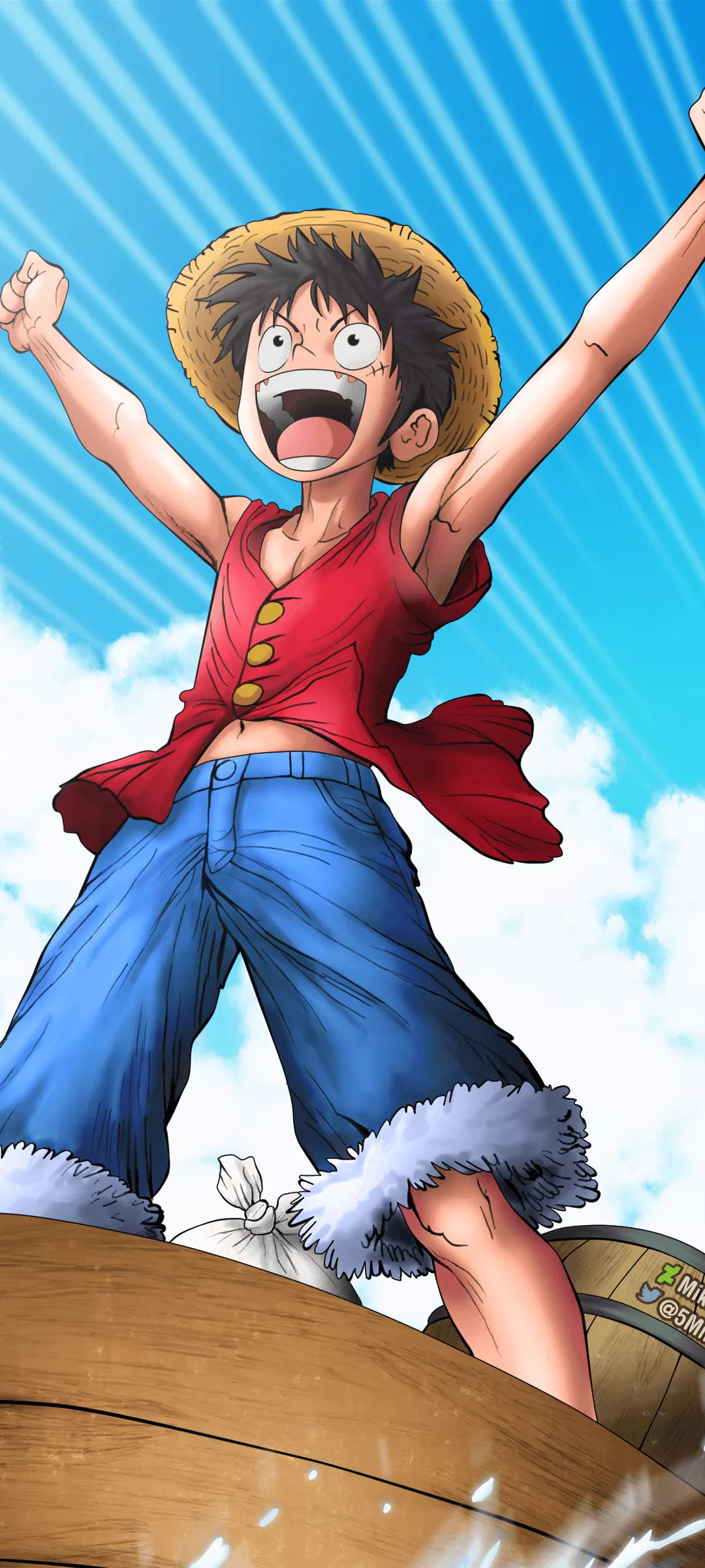 Monkey D. Luffy Anime One Piece
