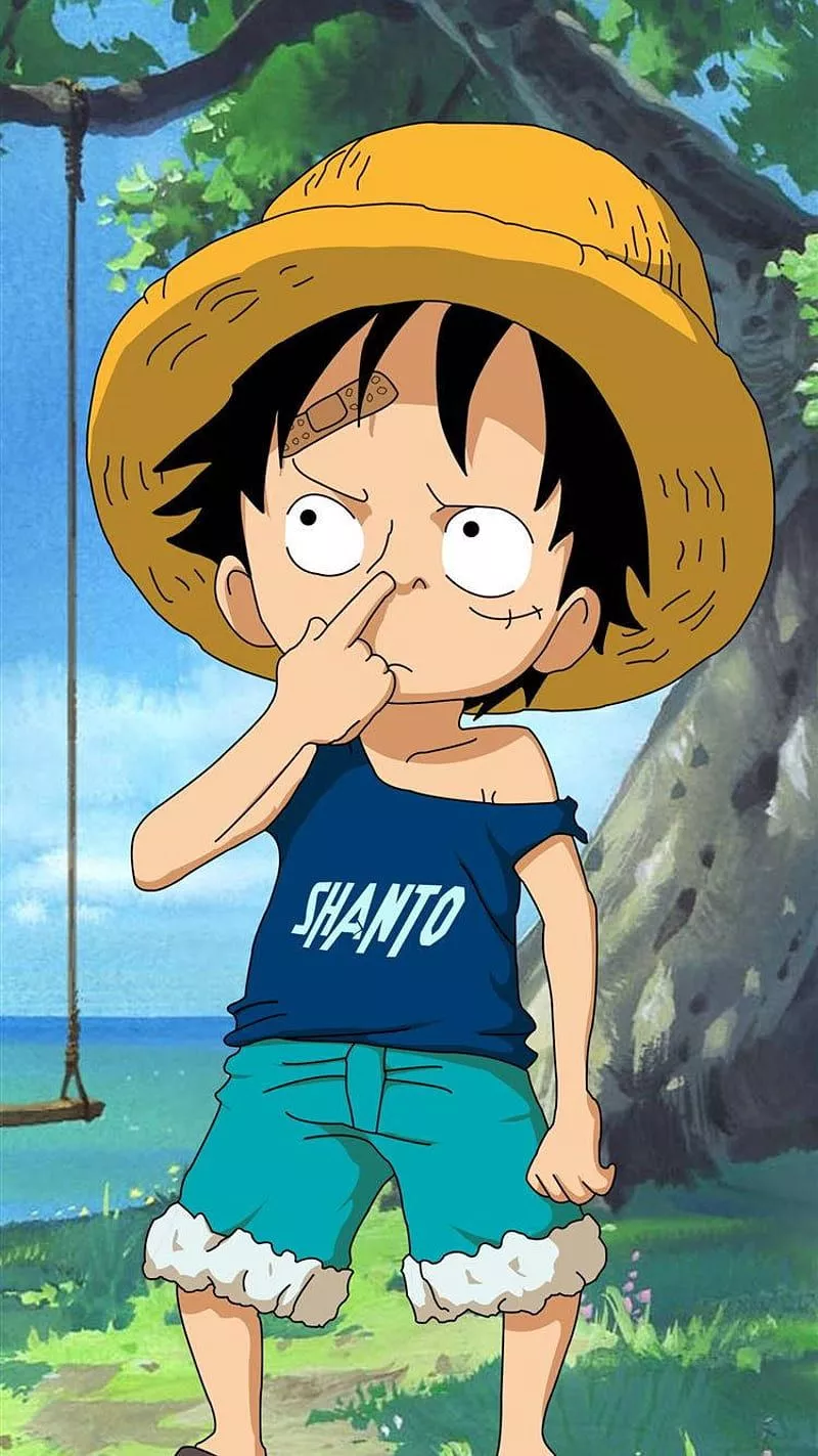 Anime Profile Monkey D Luffy, Luffy