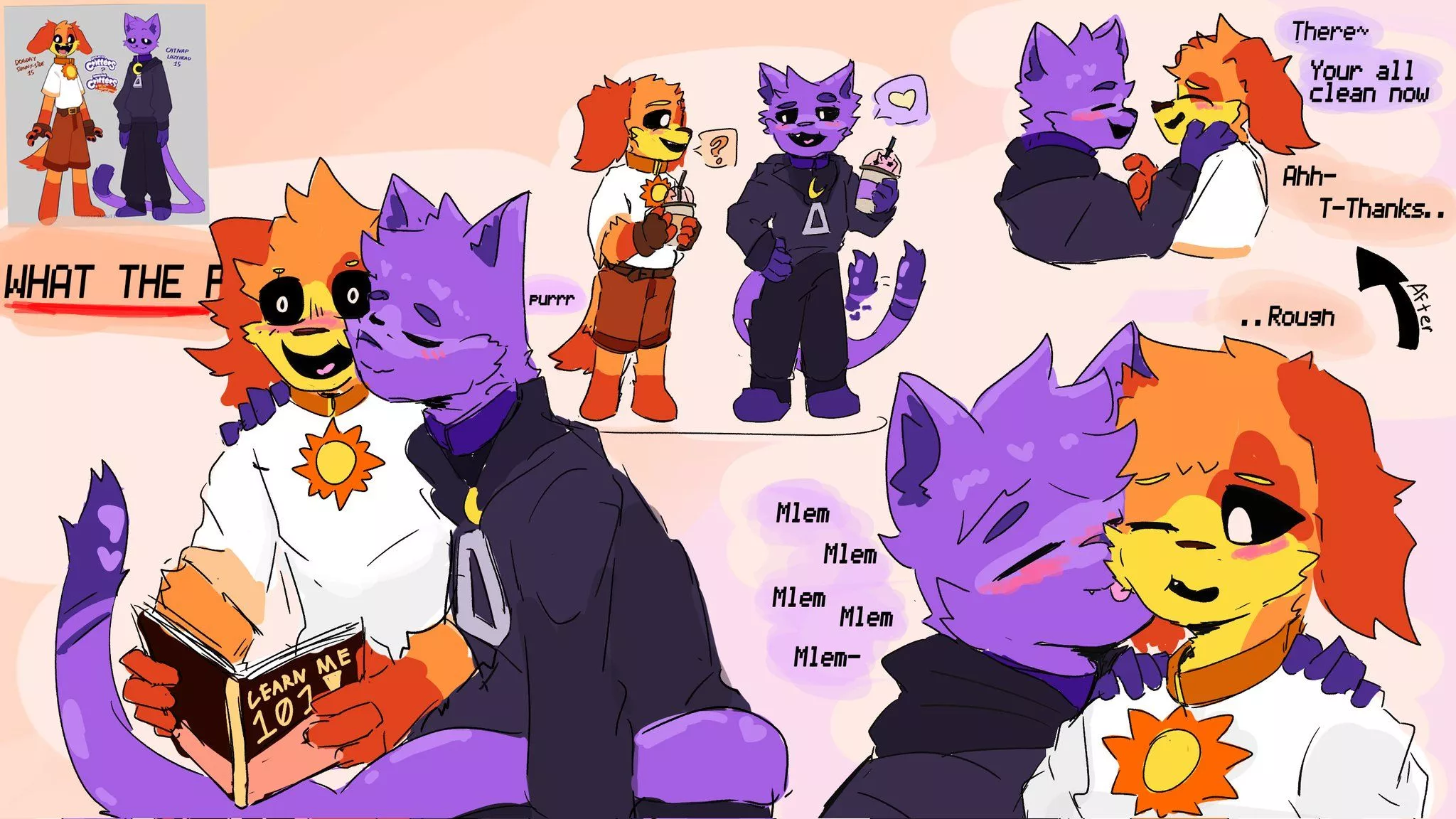 Catnap x Dogday clothing