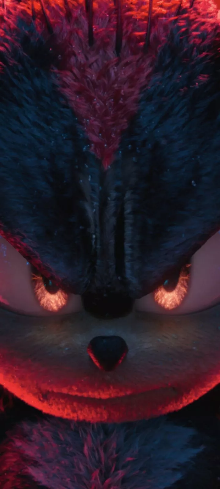 Hedgehog Ultra HD Wallpaper