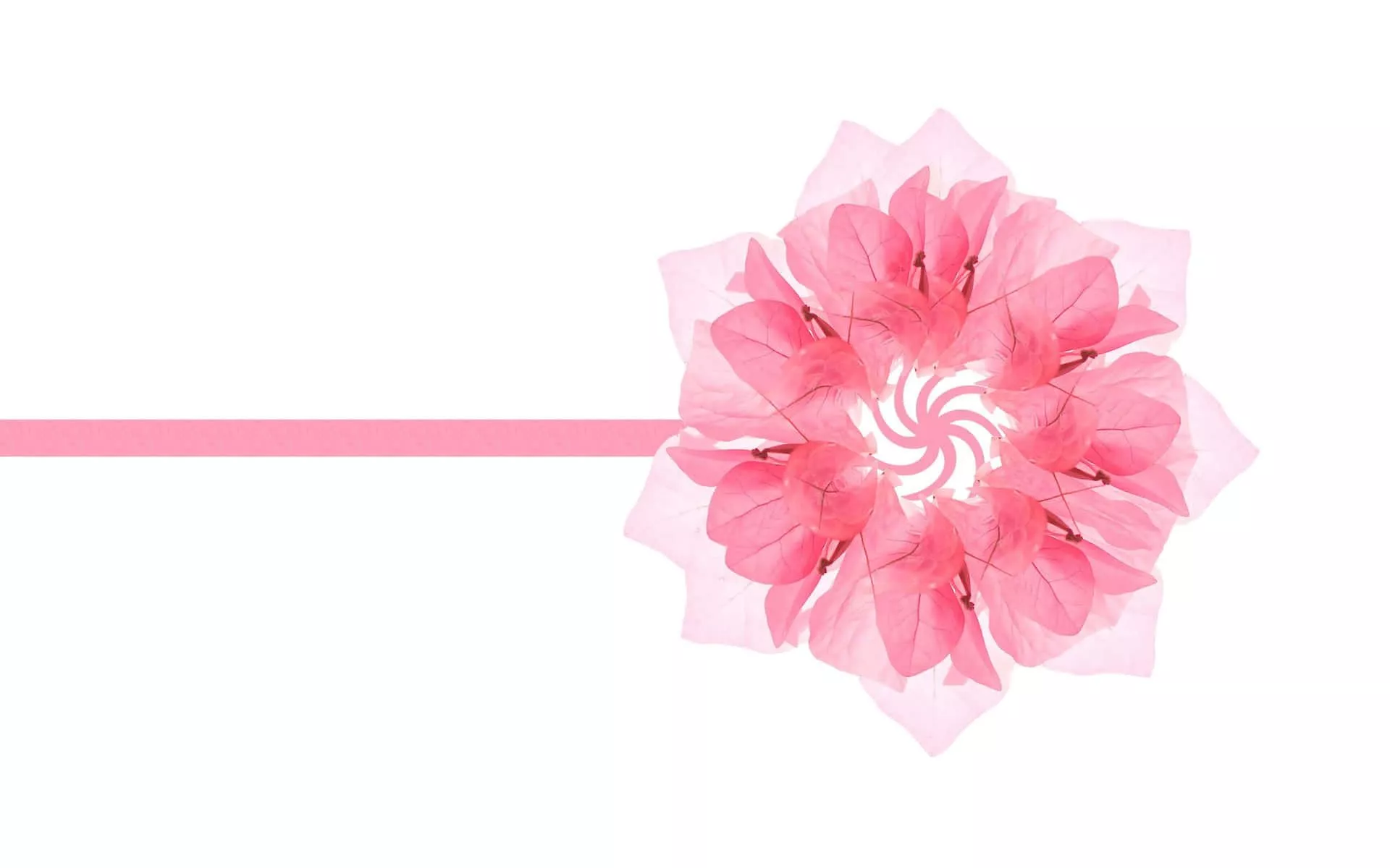 Minimalist Flower Wallpaper