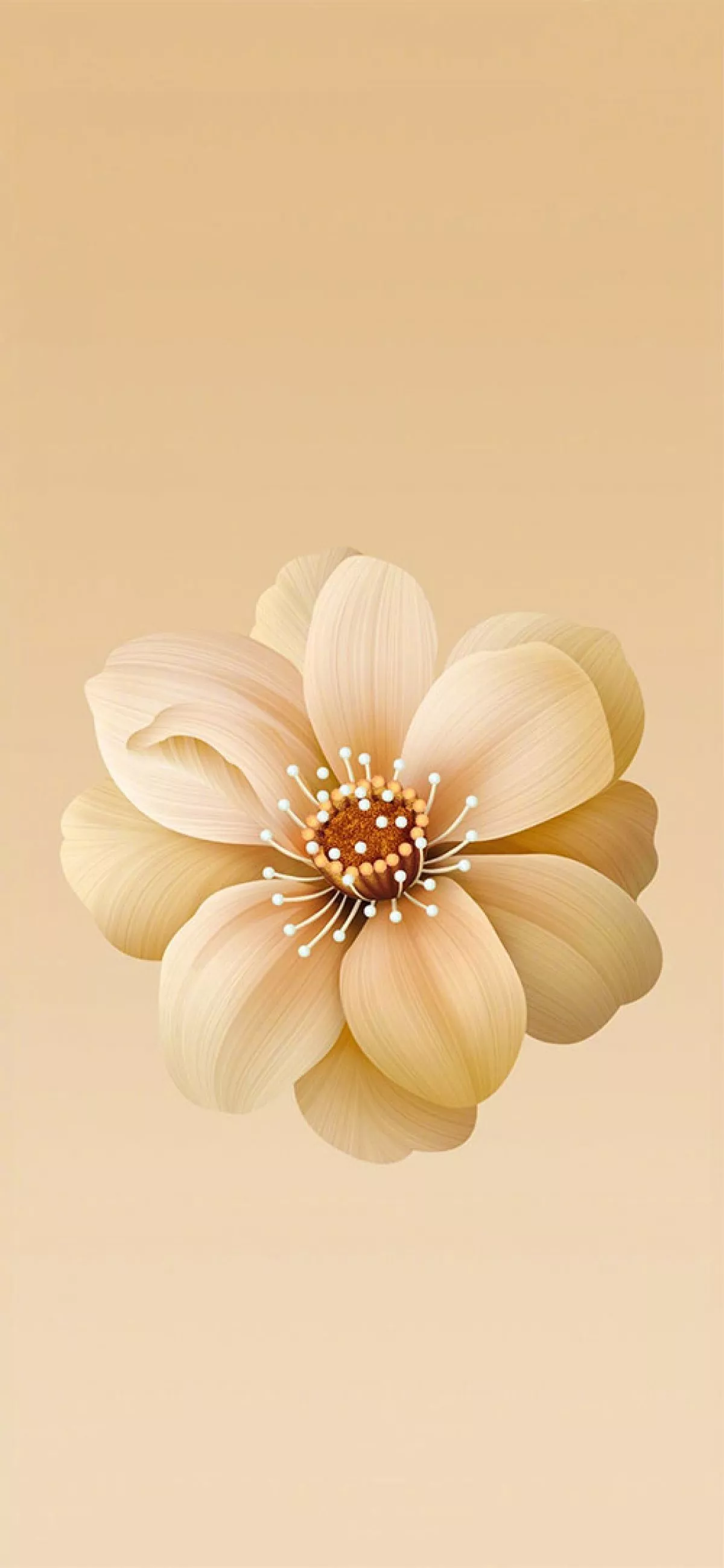 Most Popular Flower Minimal Wallpaper