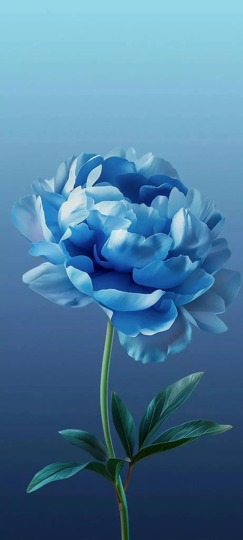 Free HD Flower Minimal Wallpaper