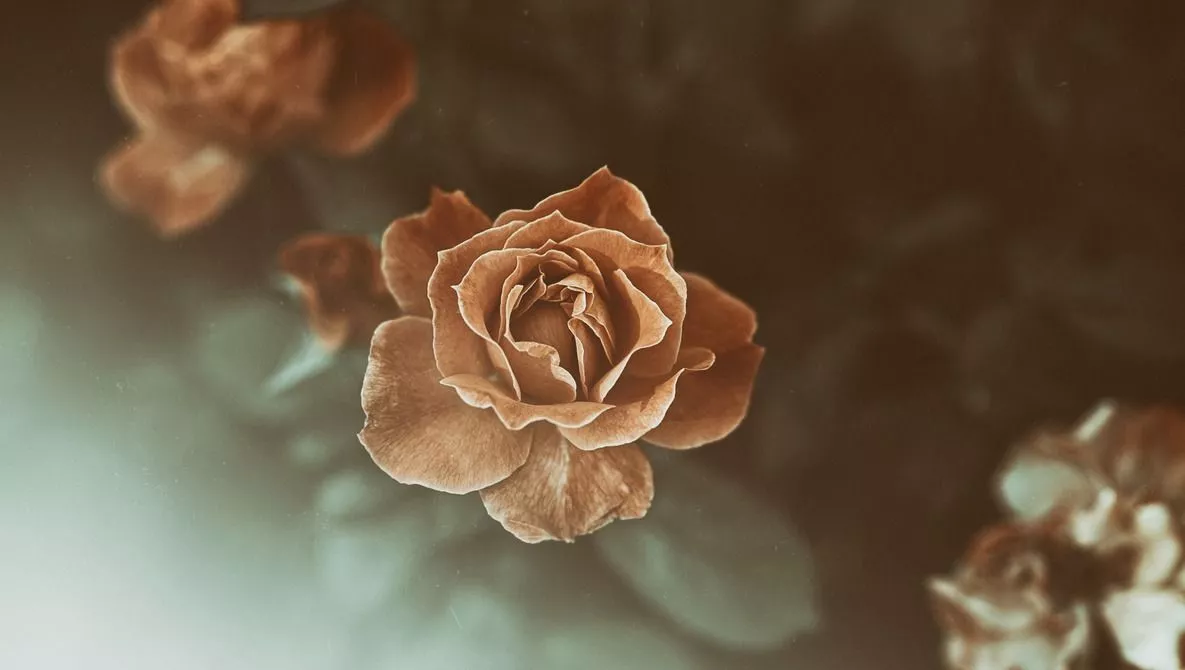 Finding Calm Photographing Gloomy