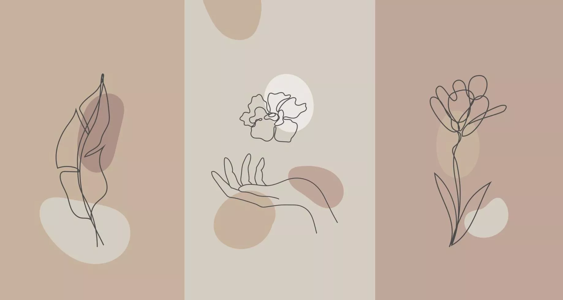 Vector minimalist style plants flowers