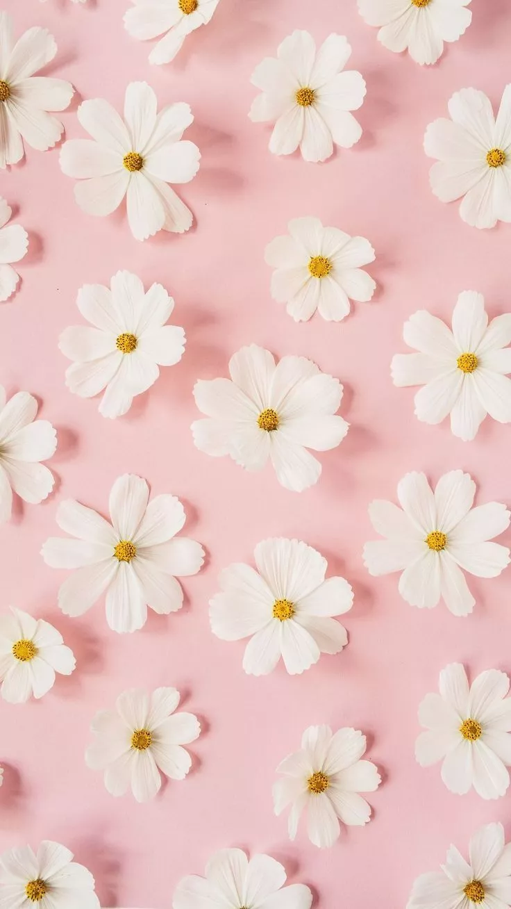 Pink flowers wallpaper